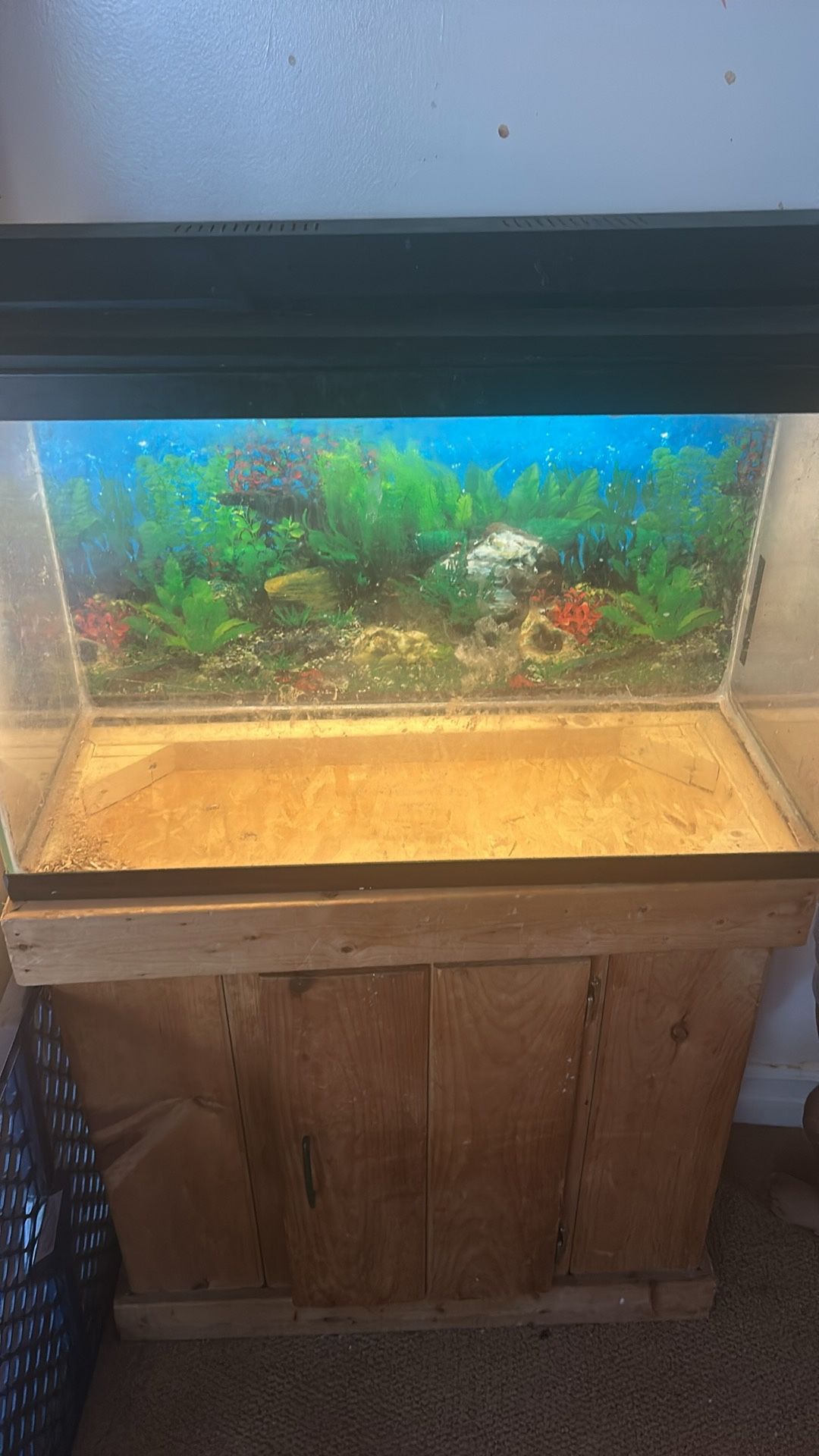 Fish tank