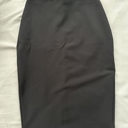 Express Pencil Skirt 