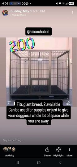 XL kennel