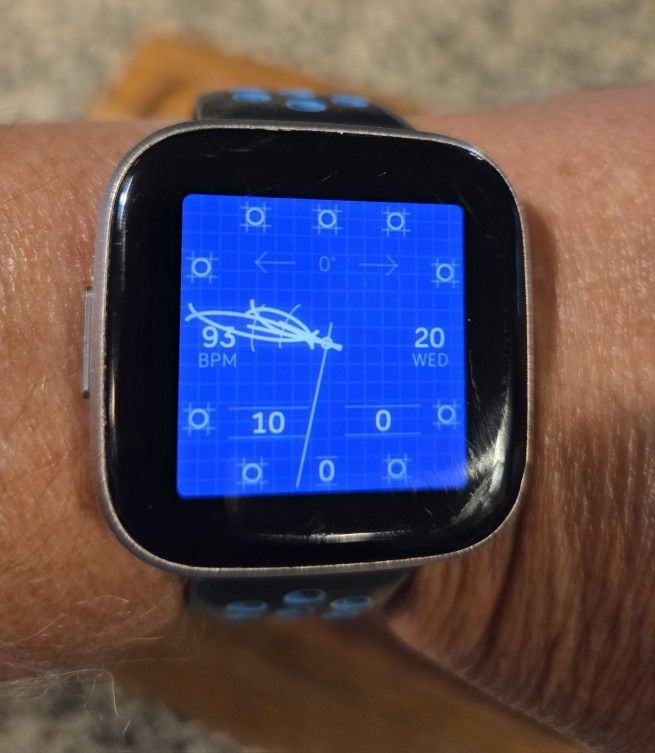 Fitbit Versa 2 - Good Used Working Condition