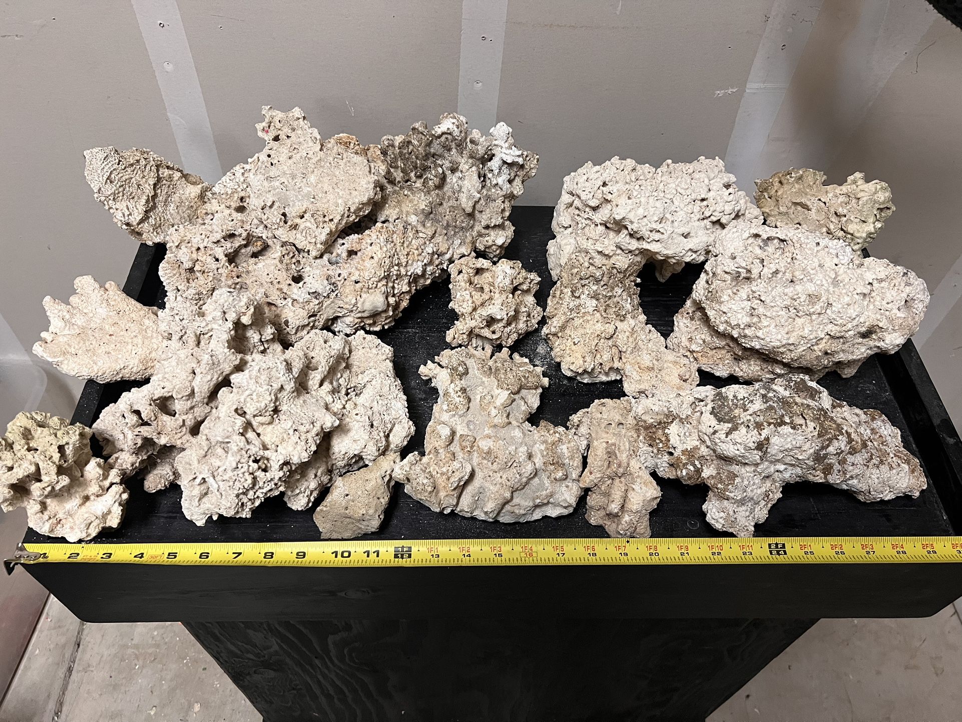 Dry Base Coral For Reef Aquarium