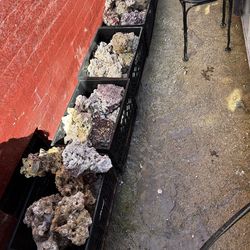 Reef saltwater aquarium Fish Tank