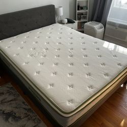 GREAT shape queen size upholstered bed with mattress and topper.