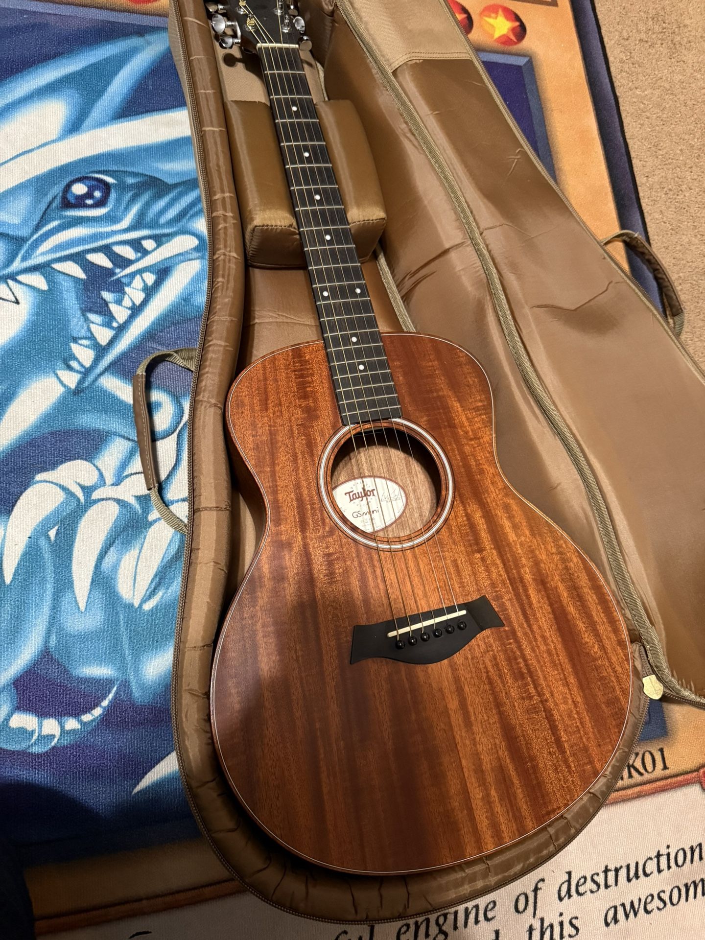 Taylor GS Mini