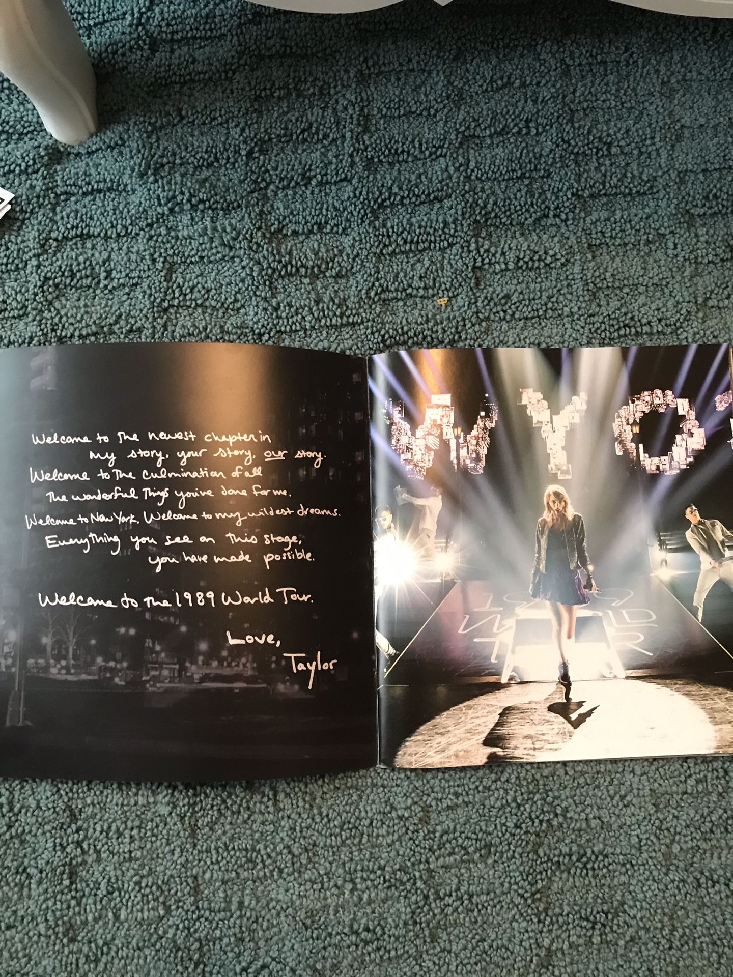 Taylor Swift 1989 World Tour VIP Merch