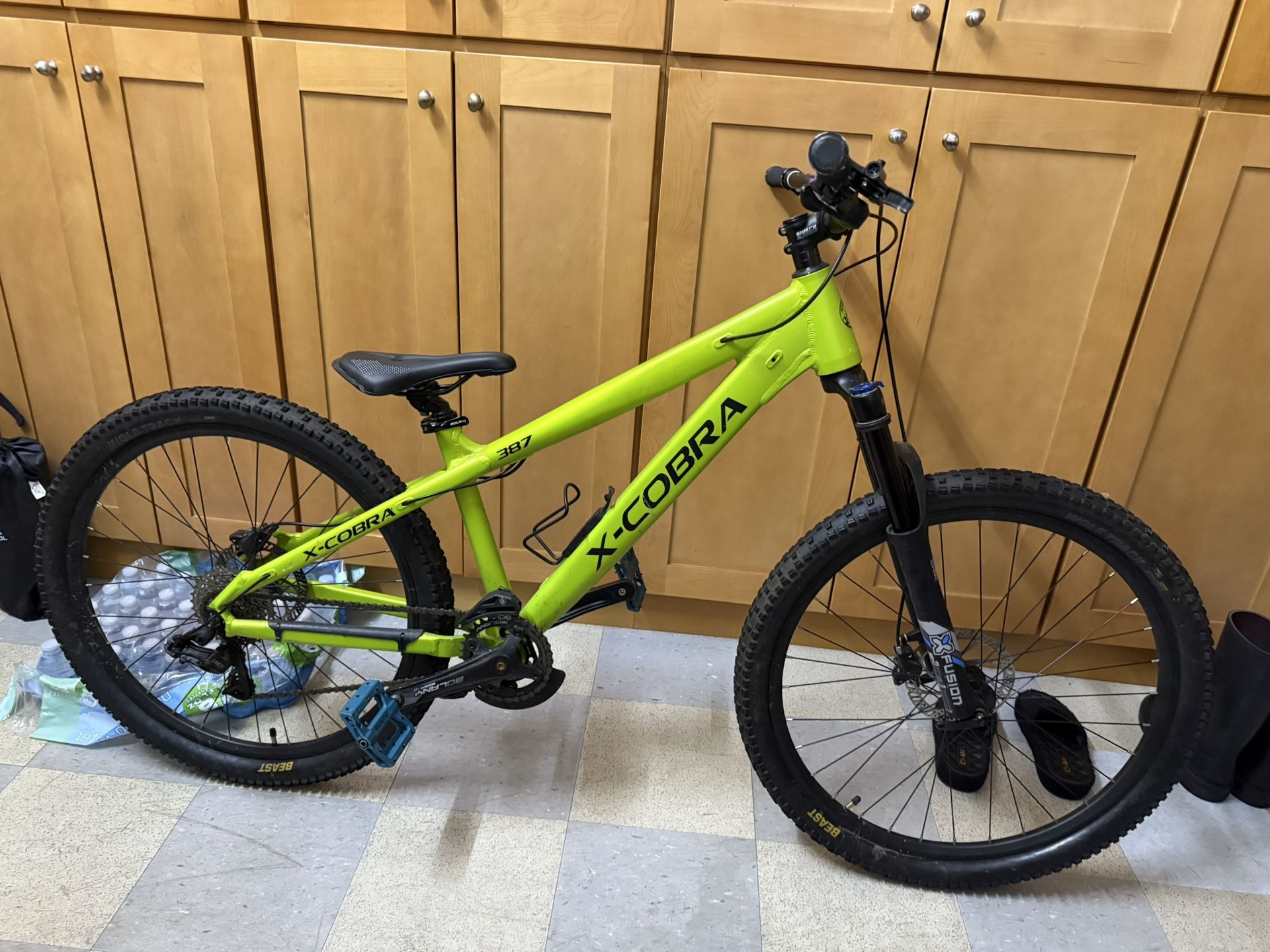 X-Cobra Mountain Bike