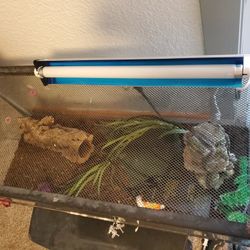 Reptile Tank &supplies