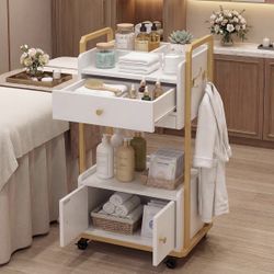 Spa Salon Trolley with Storage Cabinet, Rolling Beauty Cart for Professional Spa & Salon Use, Mobile Esthetician Cart for Skincare, Facial & Treatment