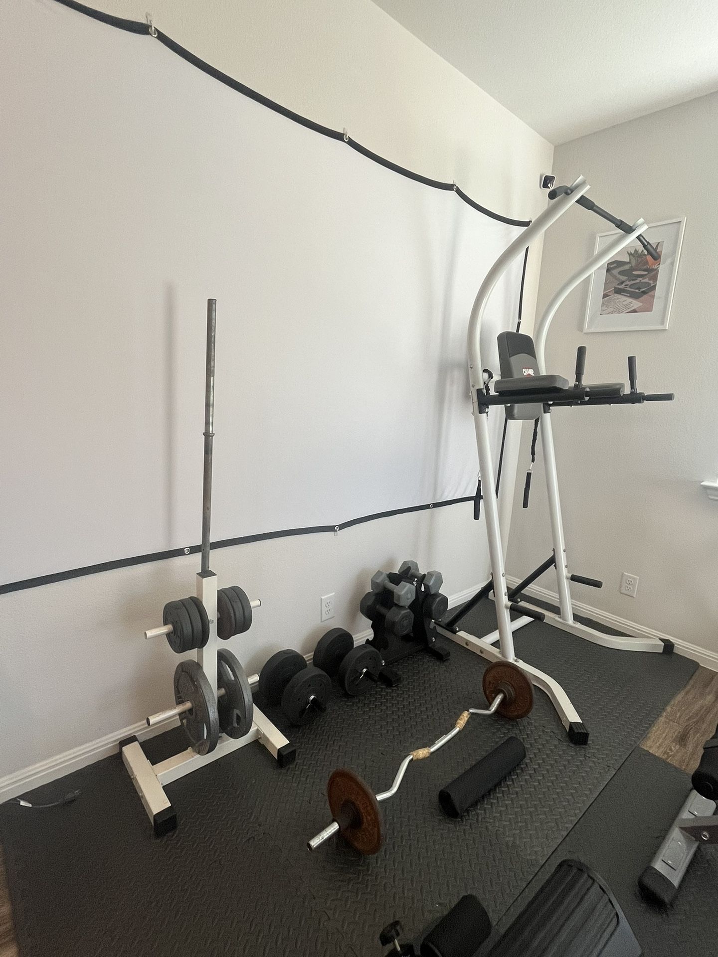 Workout Equipment