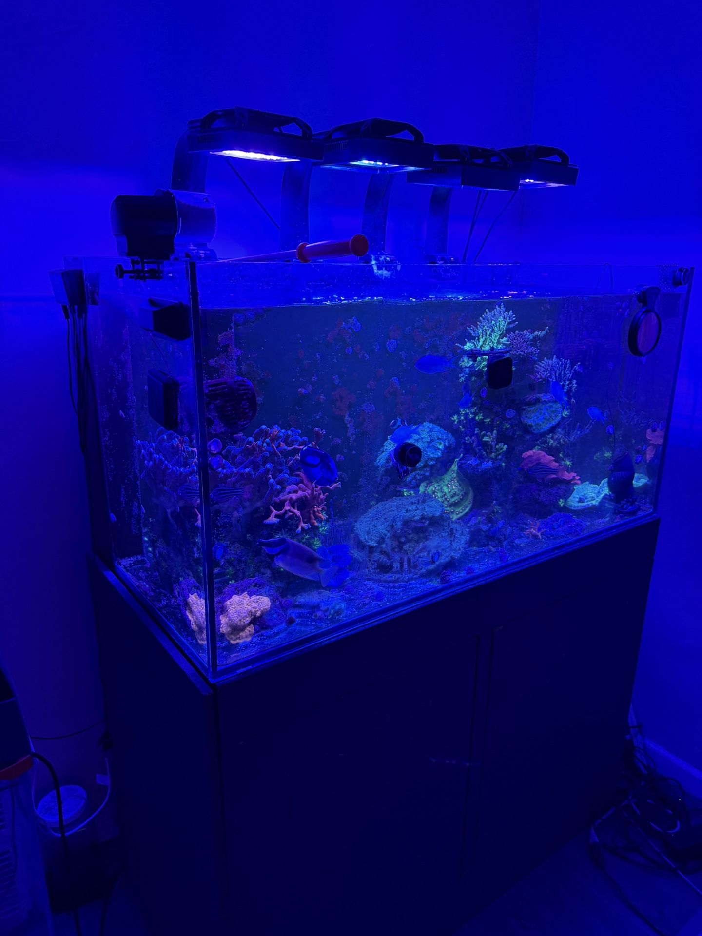 120 Gallon Aquarium Fish And Coral Not Included