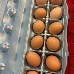Eggs For Sale