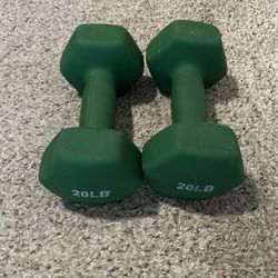 20# Dumbbell Weights Set Large Grip