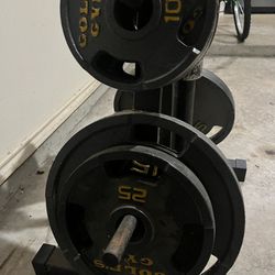 Golds Gym Weight Set 