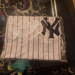 Brand new stitches Jersey.