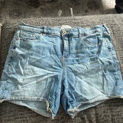Torrid Size 16 Denim Shorts