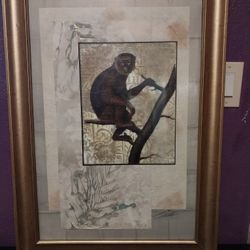 Monkey Wall Art /Gold Frame. 