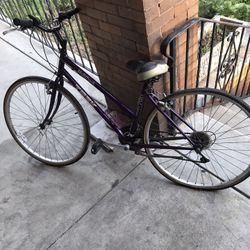 Trek Womens Multi Track 700