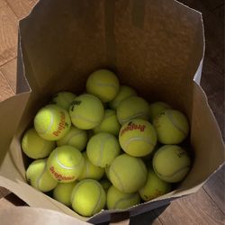 50 Tennis Balls