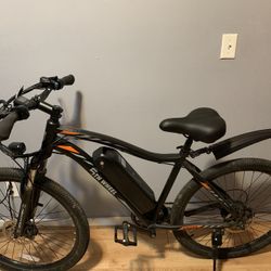 5th Wheel Electric Bike