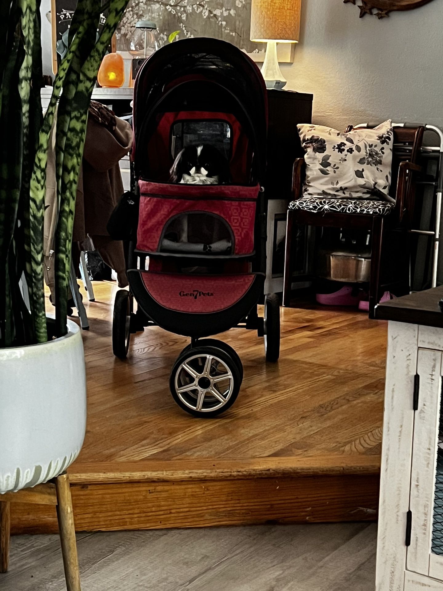 Gen7 Dog Stroller like new