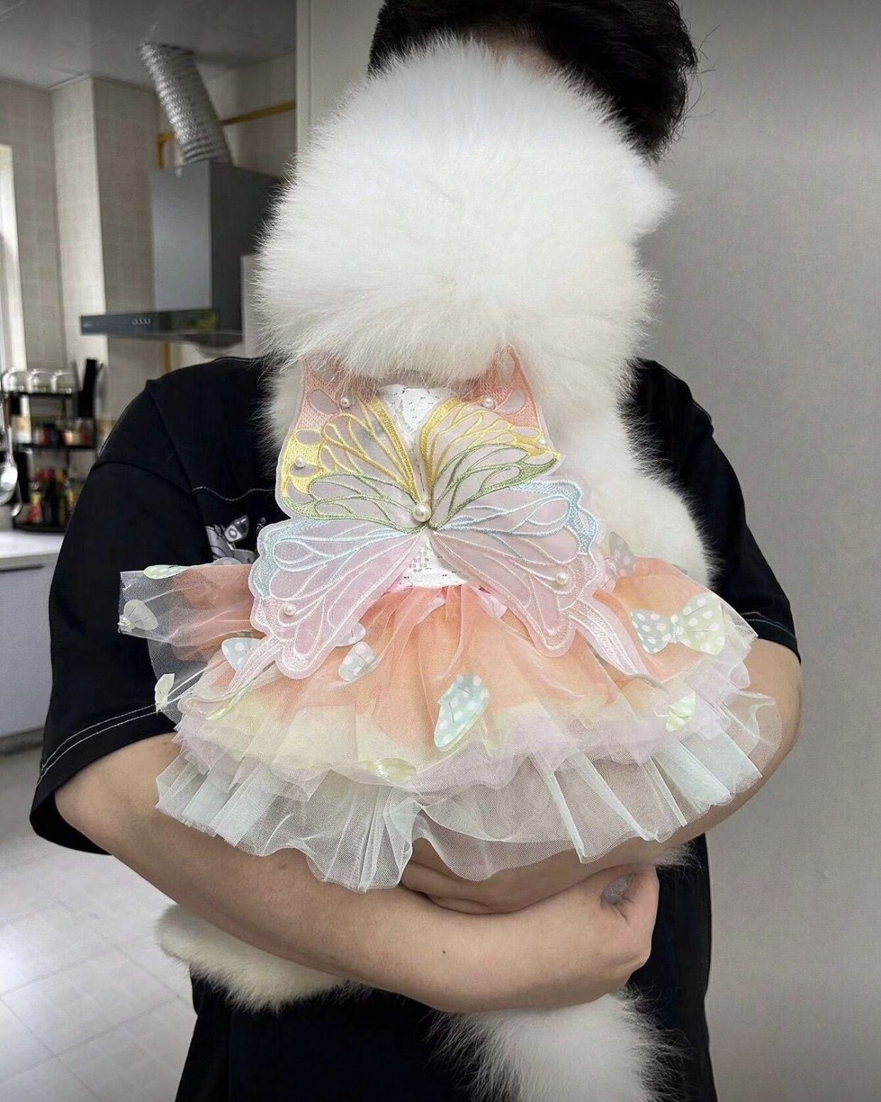 Halloween Dog Costume Lights Up It’s New Size Small 