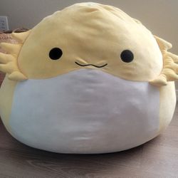 Squishmallows 