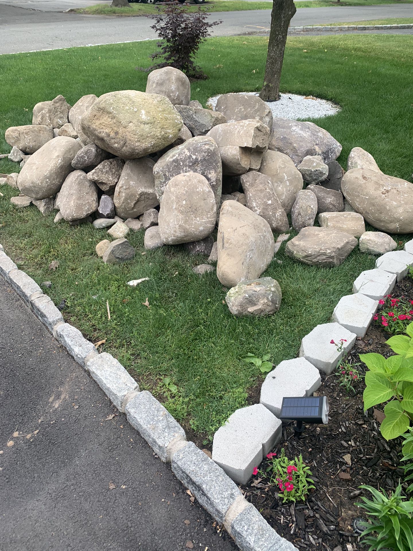 Free Rocks