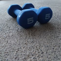 2 5 Lb Dumbbells