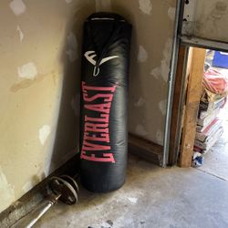 Everlast Heavybag