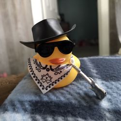 New Duck With Hat Glasses And Guitar 