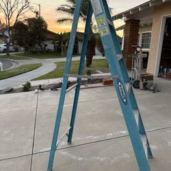 Heavy Duty Ladder