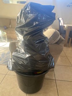Free Toy Giveaway