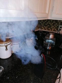 Brand new 100% Life time warranty New Age Travel Steamer