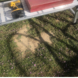 MILWAUKEE  & DeWALT SAWZAW & DRILL