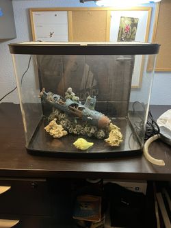 Curved 12 Gallon Fish Tank