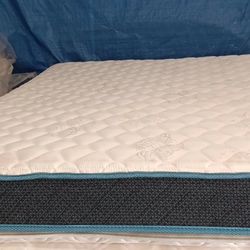 Queen Size Mattress (Colchón Queen Size)