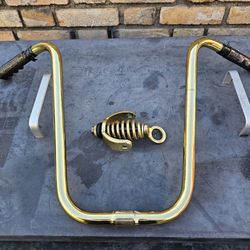 20" lowrider gold bars and springer