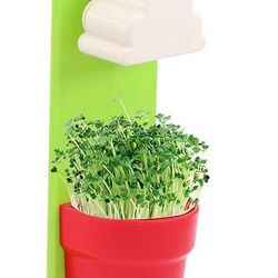 Rainy Flower Pot Hanging Wall Mount Planter