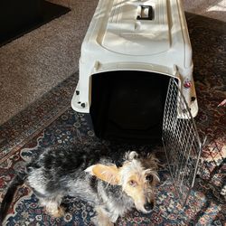 Large Petco Dog Crate