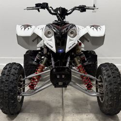 Polaris Predator 500cc Troy Lee Edition 