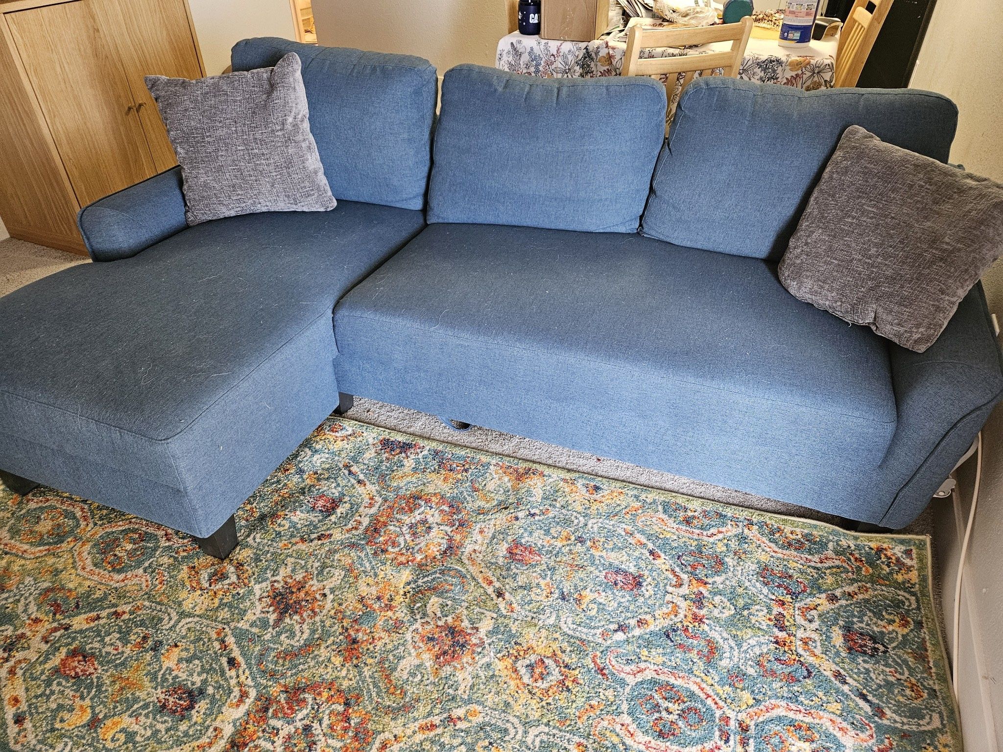 Blue Pull Out Couch/Futon