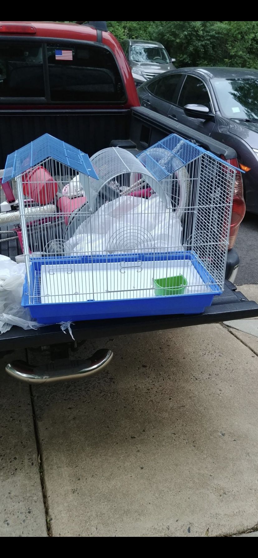 Bird Cage