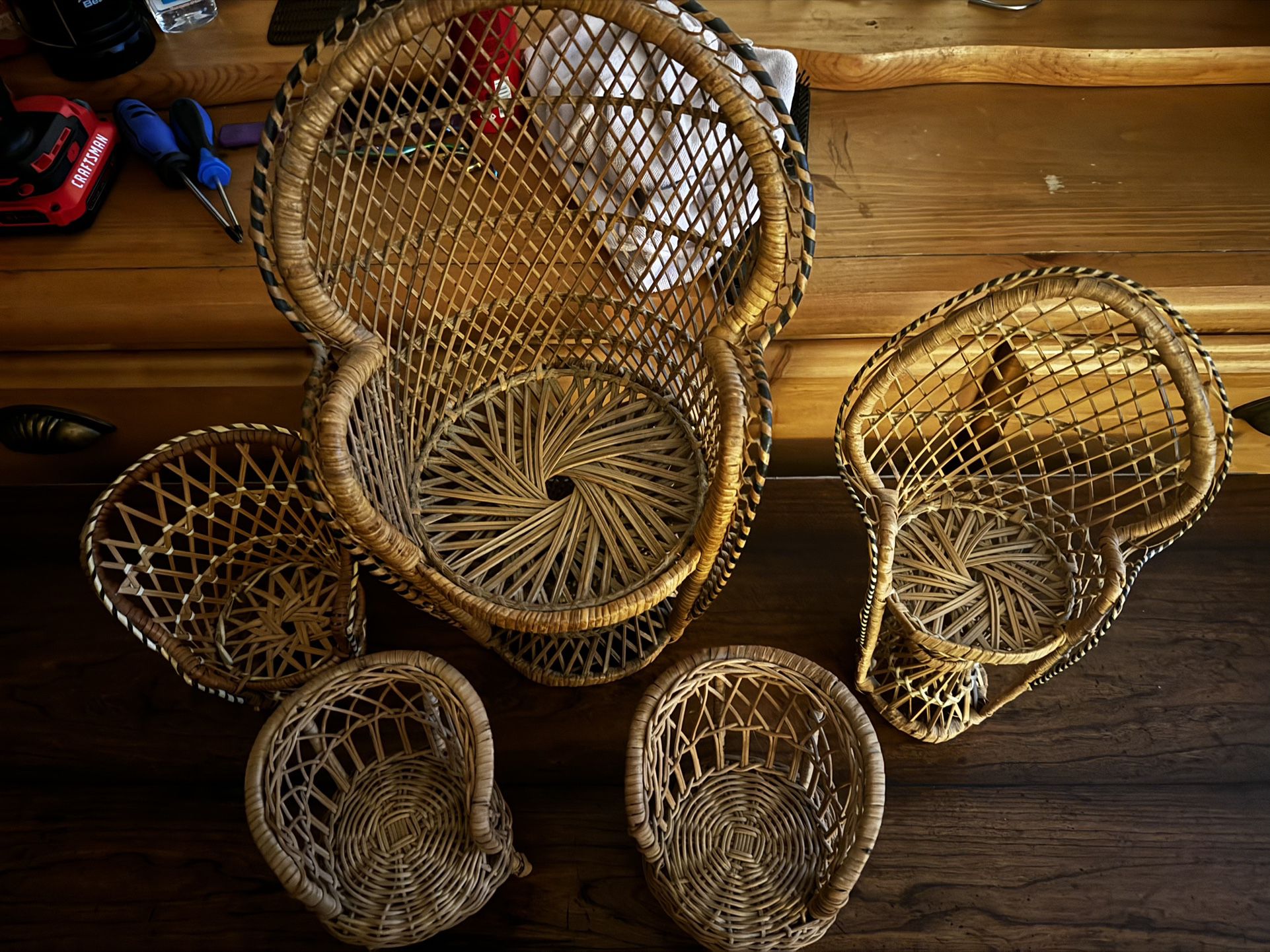 5 Wicker/peacock Chairs 