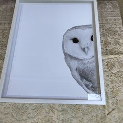 Owl artwork