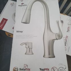 Pfister Stainless Steel