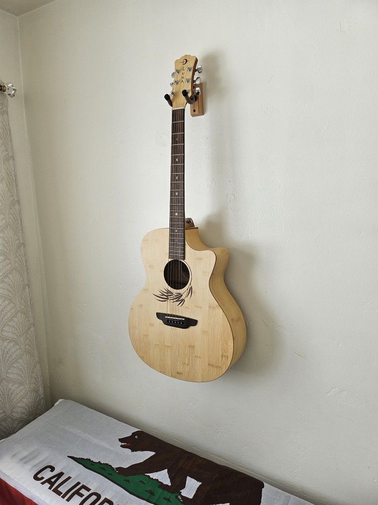 Acoustic Electric Guitar 