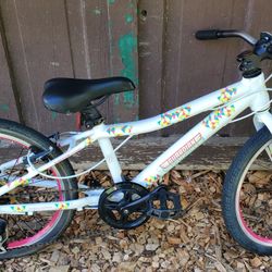 20" Guardian Bike 