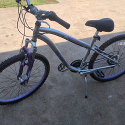 Schwinn Mountain Bike