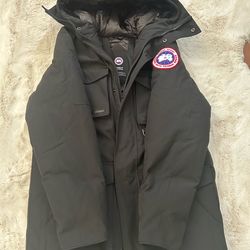Canada goose