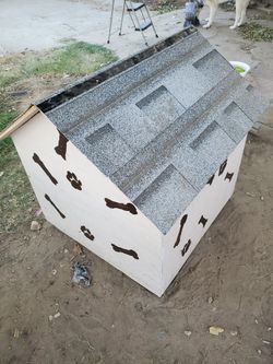 Casita De Perro